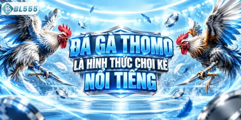 Đá gà Thomo là hình thức chọi kê nổi tiếng