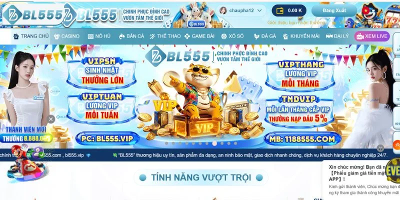 Giải đáp những thắc mắc về đăng nhập BL555