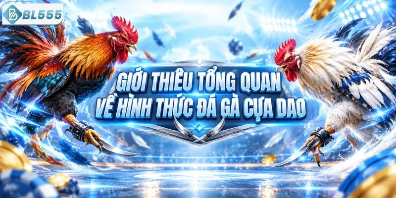Giới thiệu tổng quan về hình thức đá gà cựa dao
