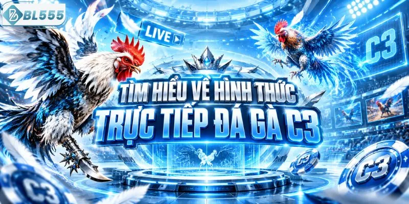 Tìm hiểu về hình thức trực tiếp đá gà C3