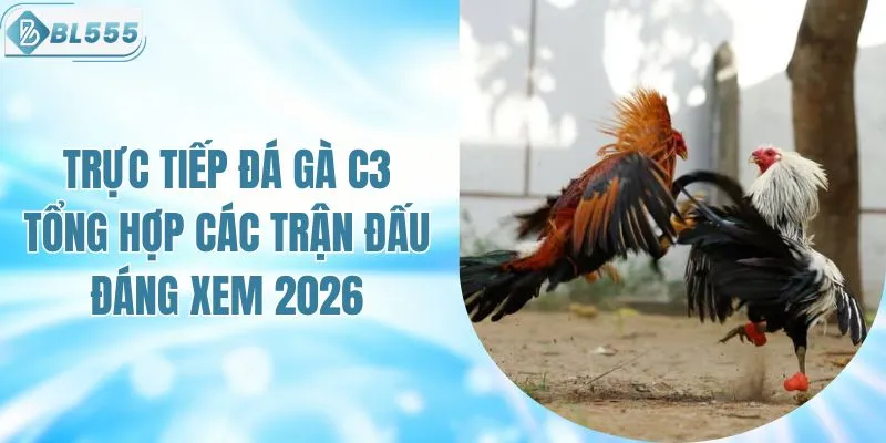 Trực Tiếp Đá Gà C3 Tổng Hợp Các Trận Đấu Đáng Xem 2026