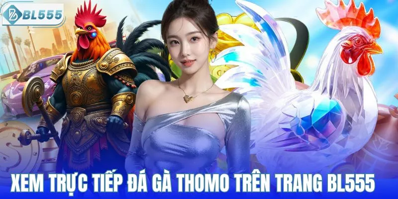 Xem trực tiếp đá gà Thomo trên trang BL555